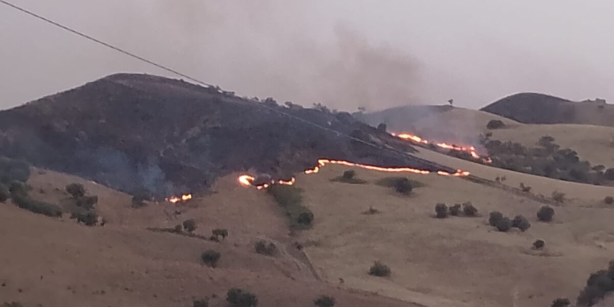 incendi in sicilia notte di emergenza tra siracusa enna e ragusa evacuazioni abitazioni minacciate e decine di interventi da Gazzettadelsud.it incendi in sicilia notte di emergenza tra siracusa enna e ragusa evacuazioni abitazioni minacciate e decine di interventi