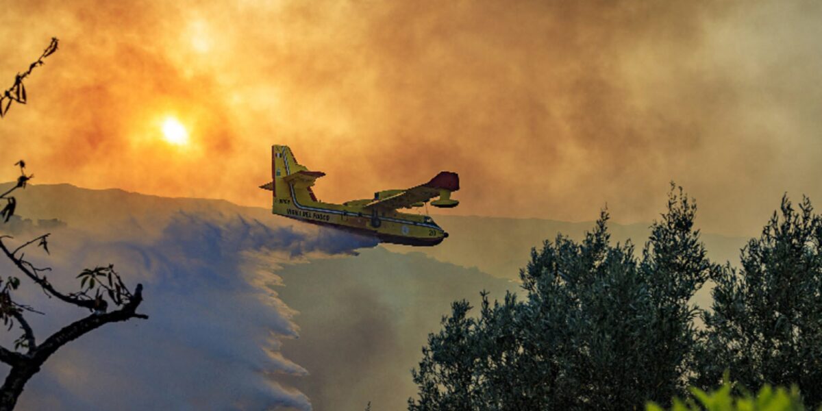 incendi in sicilia roghi dal trapanese al messinese gente in fuga dalle villette nel palermitano da Gazzettadelsud.it incendi in sicilia roghi dal trapanese al messinese gente in fuga dalle villette nel palermitano