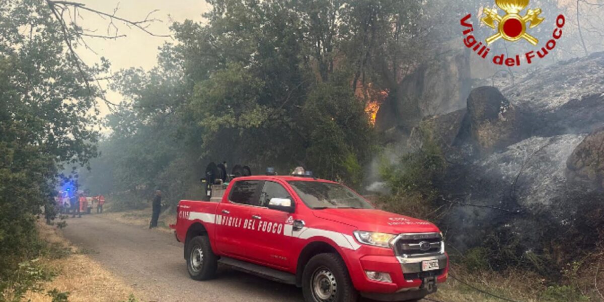 incendi in sicilia roghi da palermo a messina 500 sfollati a sciacca da Gazzettadelsud.it incendi in sicilia roghi da palermo a messina 500 sfollati a sciacca