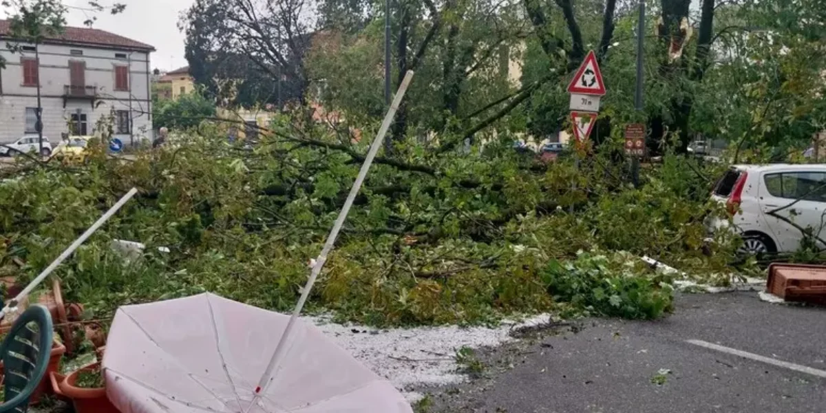 la furia della grandine su cremona 10 chiese sfregiate 10mila auto danneggiate citt224 in ginocchio da Gazzettadelsud.it la furia della grandine su cremona 10 chiese sfregiate 10mila auto danneggiate citt224 in ginocchio