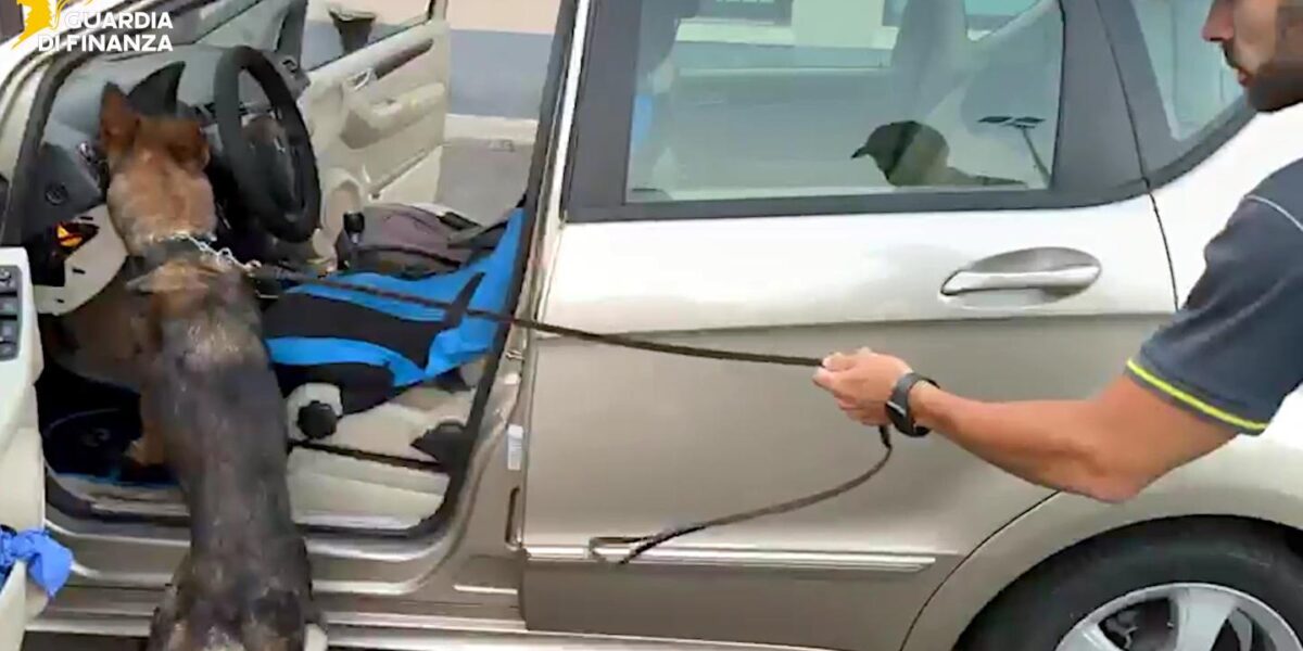 https://assets.gazzettadelsud.it/2026/08/droga-catania-1200x600.jpg