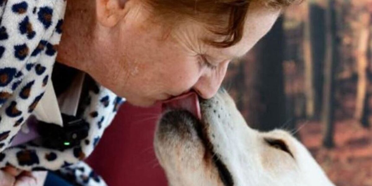 https://assets.gazzettadelsud.it/2026/08/il-cane-Joy-salva-la-padrona-da-un-tumore-859x600-1-1200x600.jpg