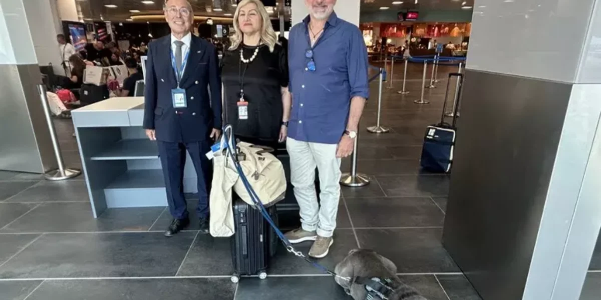 https://assets.gazzettadelsud.it/2026/08/ita-volo-da-palermo-con-il-cane-1200x600.webp