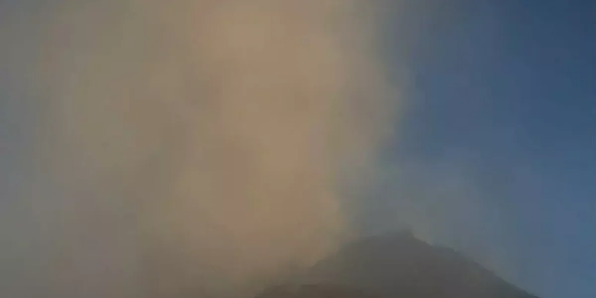 catania riapre l aeroporto stop ai voli durato poco pi249 di mezz ora da Gazzettadelsud.it catania riapre l aeroporto stop ai voli durato poco pi249 di mezz ora