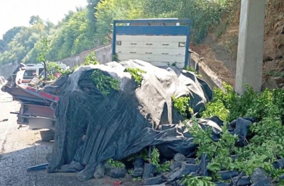 la scia di sangue non si ferma sulla messina catania aperta un inchiesta sull incidente costato la vita a un camionista da Gazzettadelsud.it la scia di sangue non si ferma sulla messina catania aperta un inchiesta sull incidente costato la vita a un camionista