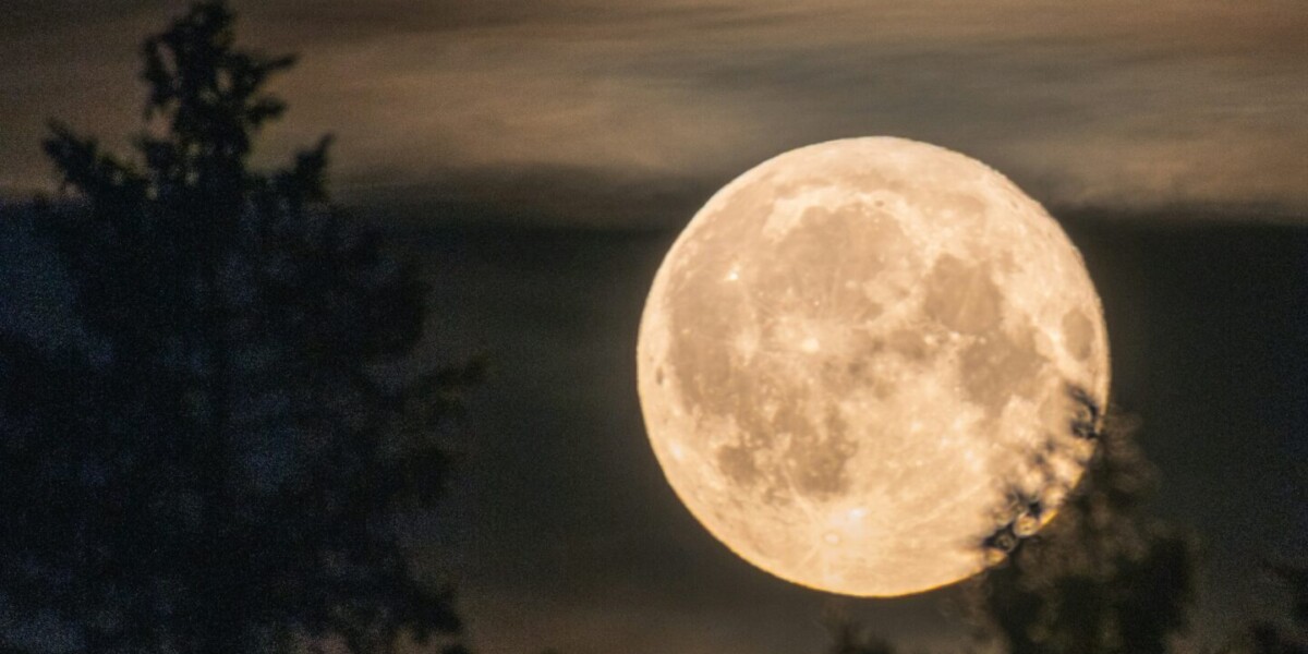 luna piena di settembre sabato la luna del raccolto a che ora vederla da Gazzettadelsud.it luna piena di settembre sabato la luna del raccolto a che ora vederla