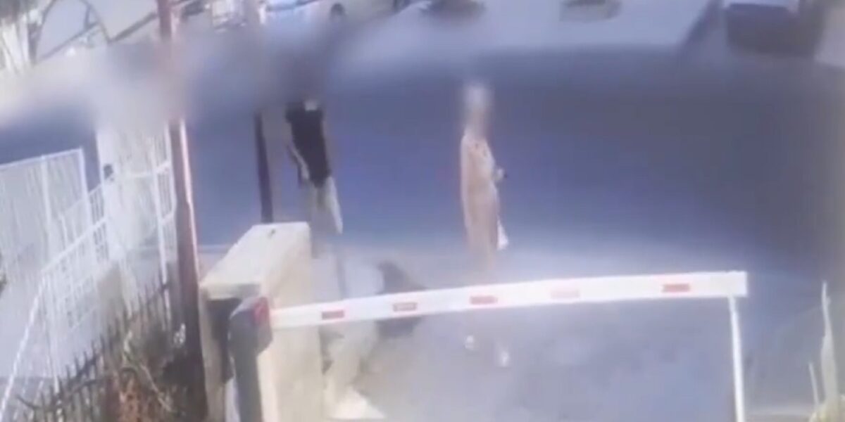 gela tenta di sgozzare una donna in strada le immagini della videosorveglianza da Gazzettadelsud.it gela tenta di sgozzare una donna in strada le immagini della videosorveglianza