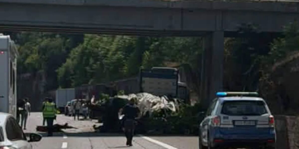 incidente messina catania coinvolti due mezzi pesanti feriti gravi e traffico in tilt da Gazzettadelsud.it incidente messina catania coinvolti due mezzi pesanti feriti gravi e traffico in tilt