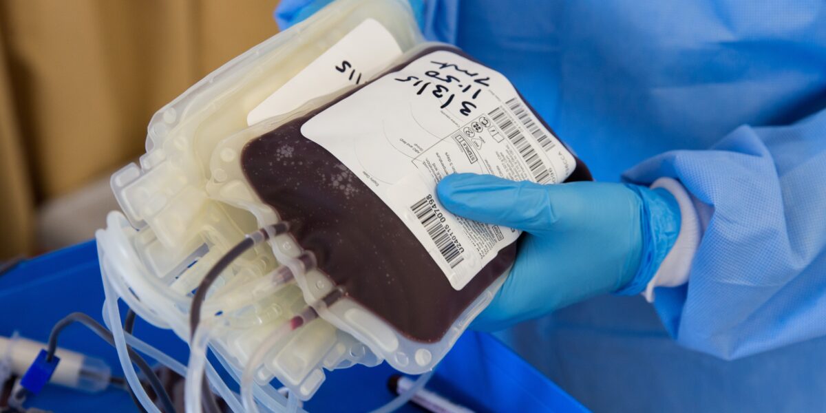 sangue manca lo 0 positivo allarme del cns sicilia in sofferenza da Gazzettadelsud.it sangue manca lo 0 positivo allarme del cns sicilia in sofferenza