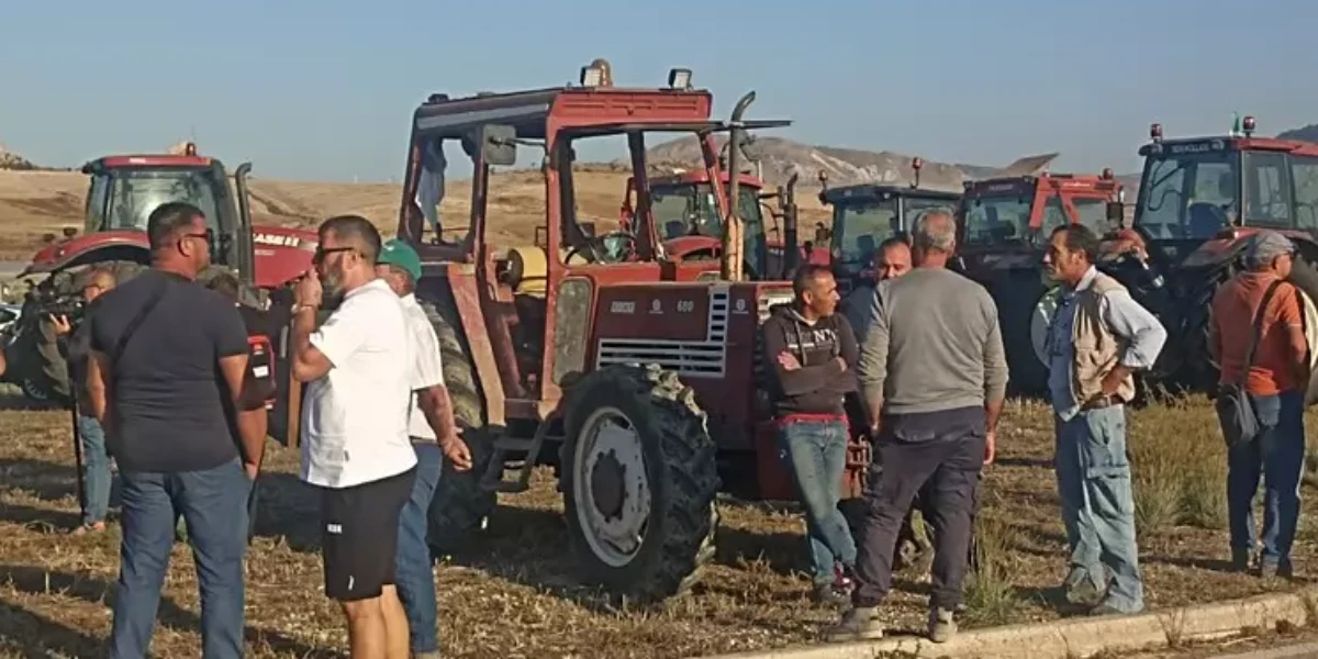 in sicilia protesta degli agricoltori con i trattori contro il caro carburante da Gazzettadelsud.it in sicilia protesta degli agricoltori con i trattori contro il caro carburante