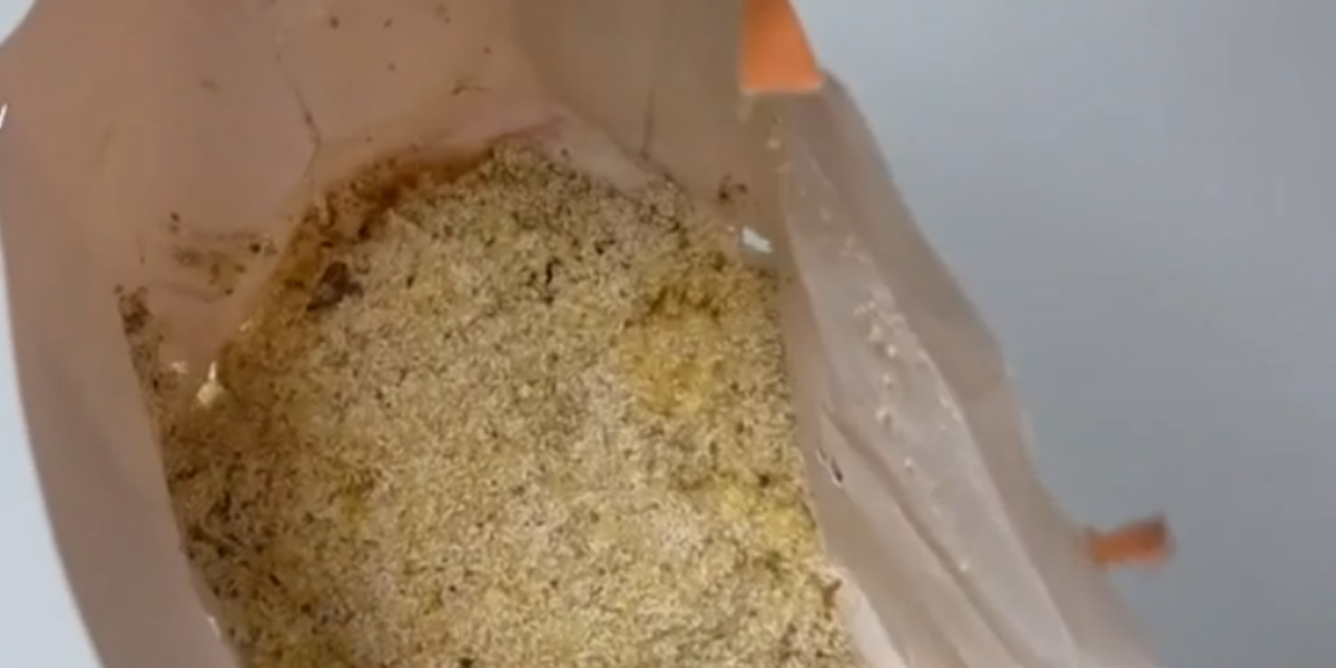 insetti e vermi in cibo per bimbi nel napoletano sequestri in cinque strutture socio assistenziali gestite da una coop da Gazzettadelsud.it insetti e vermi in cibo per bimbi nel napoletano sequestri in cinque strutture socio assistenziali gestite da una coop