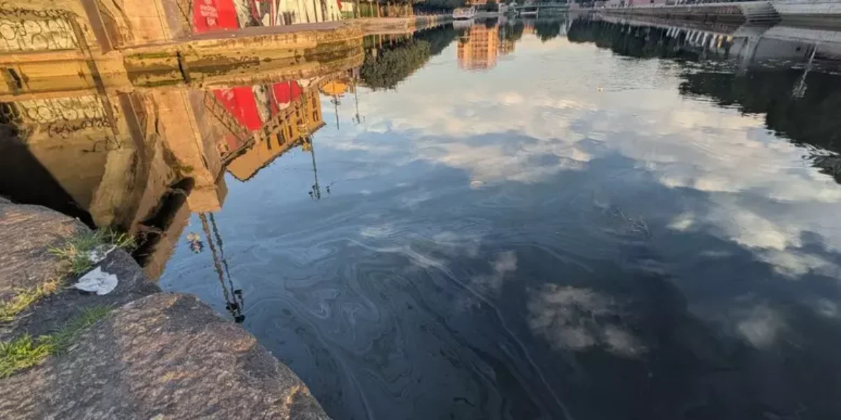 la chiazza di gasolio nel naviglio 232 lunga 28 km e ha raggiunto la darsena danni pesanti alla biodiversit224 da Gazzettadelsud.it la chiazza di gasolio nel naviglio 232 lunga 28 km e ha raggiunto la darsena danni pesanti alla biodiversit224