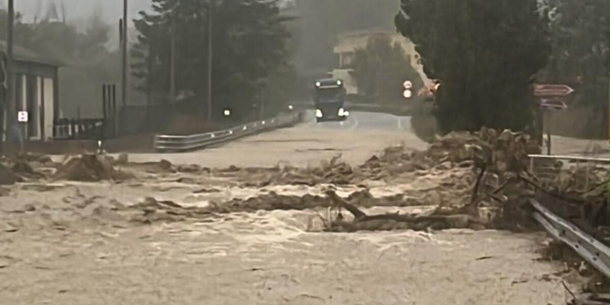 maltempo nel crotonese voragini sulla provinciale 30 strada chiusa serre e capannoni sott8217acqua da Gazzettadelsud.it maltempo nel crotonese voragini sulla provinciale 30 strada chiusa serre e capannoni sott8217acqua