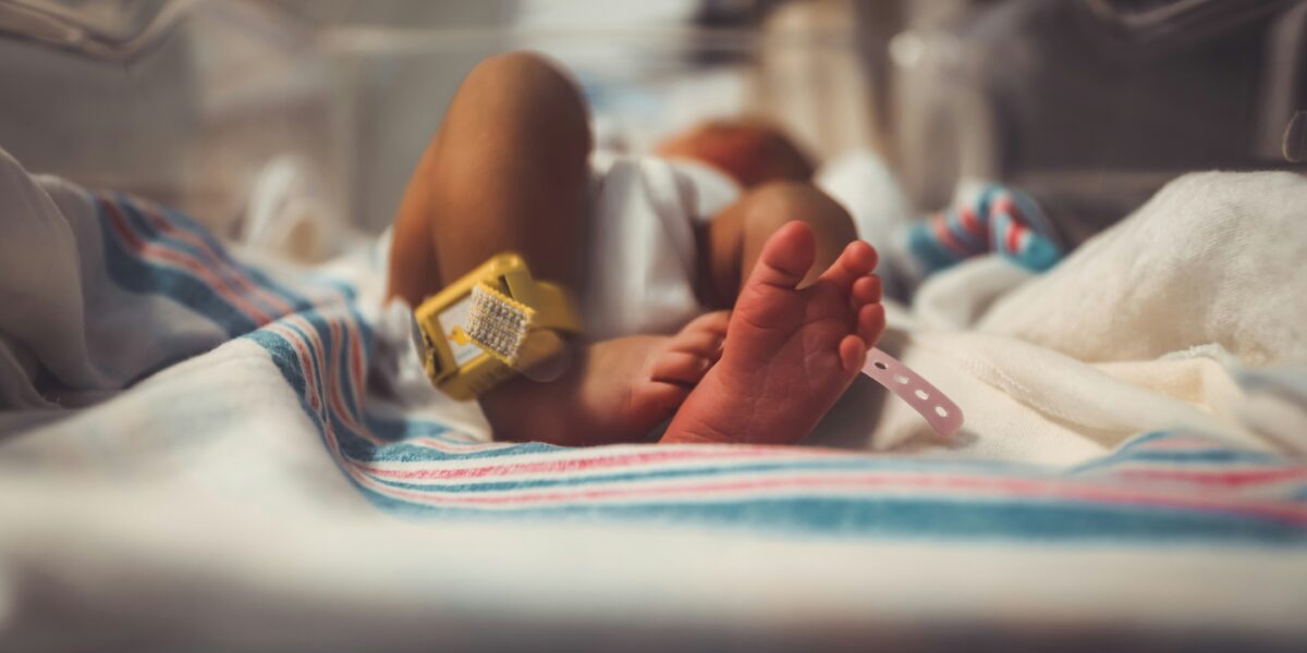 neonato abbandonato a cinisello il piccolo leone respira da solo da Gazzettadelsud.it neonato abbandonato a cinisello il piccolo leone respira da solo